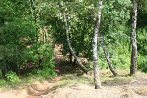 pamatka_ladvi_01.jpg
