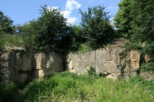 prosecke_skaly_01.jpg