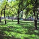 Psí louka – Ústavní